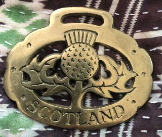 Vintage Bonnie Scotland Thistle Horse Brass Medallion Harness