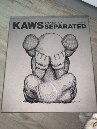 Kaws Separated Brown Vinyl Figure - In Hand