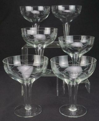 6 Vintage Hollow Stem Coupe Champagne Glasses Etched With Bamboo Floral Ze181