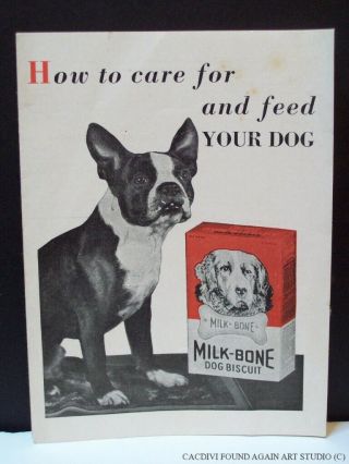 Vintage Boston Terrier Milk - Bone Advertising Pamphlet How To Care For Your Dog