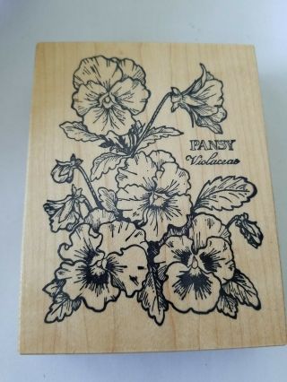Vintage Psx Botanical Pansy Rubber Stamp K774 Retired - Wood Mount 1993