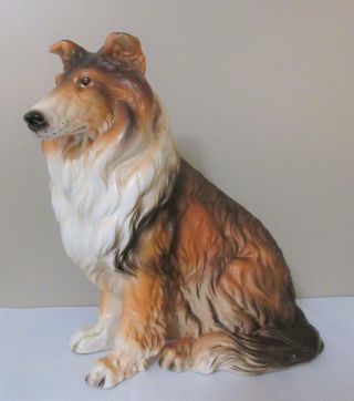 Vintage Collie Dog Figurine Large Tri Color Rough Coat Sitting 12 " Tall Japan