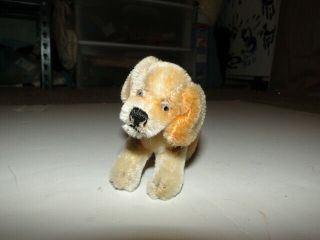 Vintage Steiff Little Black And Brown Dog With Red Collar