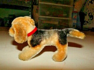 VINTAGE STEIFF LITTLE BLACK AND BROWN DOG WITH RED COLLAR 3