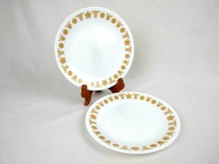 Set Of 2 Vtg Corelle Butterfly Gold Salad Lunch Plates Dish Pyrex Corning 8 1/2 "