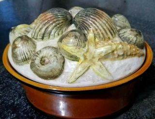 Vintage S Sigma Tastesetter 6” Ceramic Seashells Covered Dish Portugal Euc - Rare