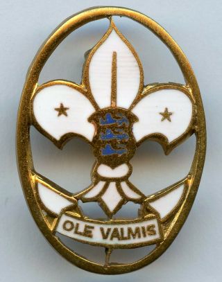 Estonia Estonian Vintage Diligence Boy Scout Badge Grade