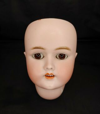 Antique Handwerck German Bisque Doll Head Only Marked 69 - 12x 4 - Germany