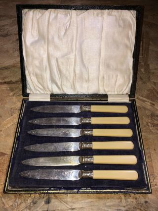 Vintage 6 Pc Silverware Knife Set Epns Silver Plate W Celluloid Handle Lined Box