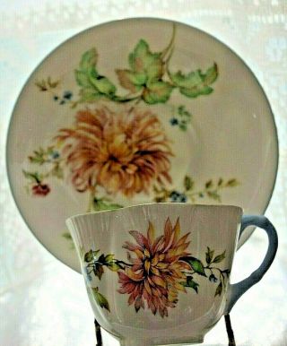 Vintage Shelley Cup & Saucer Set In Chrysanthemum Pattern