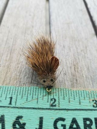 Vintage Fly Fishing Lure - Tuttle Bug Mouse Leather Tail Ears