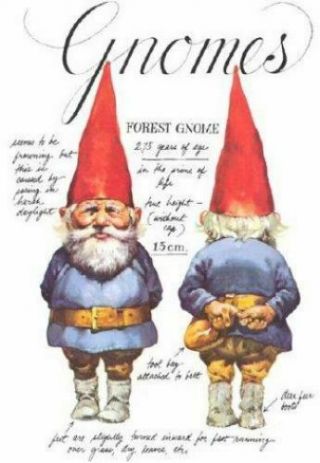 Vintage Gnomes By Will Huygen & Rien Poortvliet - Hardcover 1977 Edition Abrams