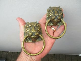 A Victorian Bronze Lions Head Door Knobs C1880