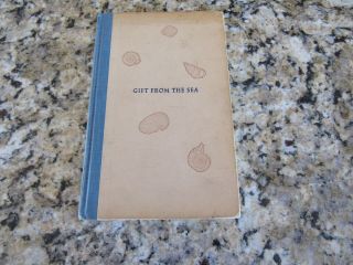 Vintage Book - Gifts From The Sea - Anne Morrow Lindbergh - Pantheon - 1955 - Tenth - Hc