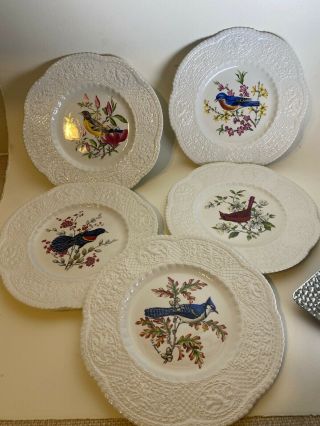 5 Vintage Bird Design Decorative Plates By Royal Cauldon Made In England