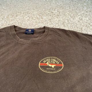 Vintage Mens T Shirt Xl Brown Prince Edward Island Graphic Tee