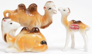 Vintage Miniature Bone China Family 3 Camels Camel Figurine Animal Japan Old