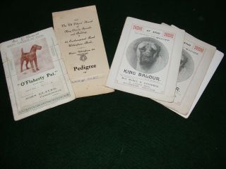 Vintage Advertising Dog Breeding Stud Fee Irish Terrier Blood Line Pedigree X 5