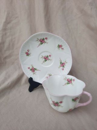 Vintage Shelley Pink Rose Spray Fine Bone China Tea Cup And Saucer Dainty Shape