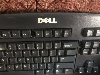 Vintage Dell Keyboard Model SK8110 With Purple Plug Wired CN - 07N242 2