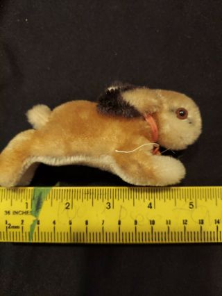 Rare Vintage 5 " Steiff Mohair Bunny Rabbit No Button Glass Eyes German Mini