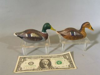 Pr.  Miniature Mallard Duck Decoy Charles Bauer Havre De Grace Md 1989