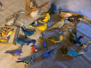 Assorted Vintage Birds For Crafting