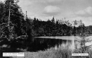 Rppc Norway Mi 1907 - 10 View Of Lake Mary And Virgin Timber Vintage Michigan 523