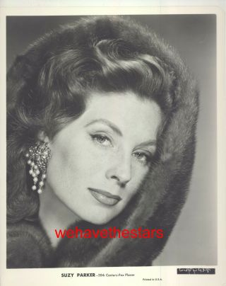 Vintage Suzy Parker Gorgeous Beauty 50s Publicity Portrait