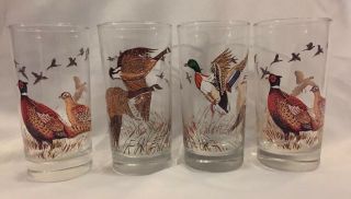 Vintage Set Of 4 Glass Tumblers With Birds