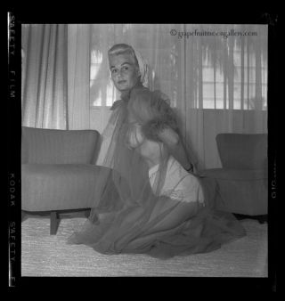 1950s Bunny Yeager Pin - up Camera Negative Dottie Roberts In See Through Nightie 2