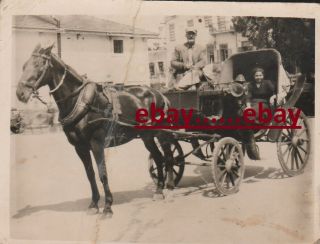 Greece Crete Chania Horse Carriage Vintage Real Photo 1954