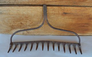 Vintage Rusty Metal Garden Rake Head 14 Tines Re - Purpose 13 5/8” Wide