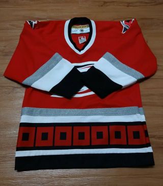 Nhl Carolina Hurricanes Hockey Red Black Fan Vintage Jersey Youth Size L/xl