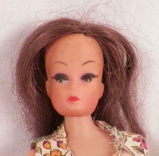 Vintage Petra Fashion Doll Barbie Clone Brunette Hair Dark Eyes White Irises 1