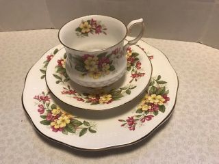 Vintage Rosina Bone China England Wild Flowers Cup & Saucer Plate.