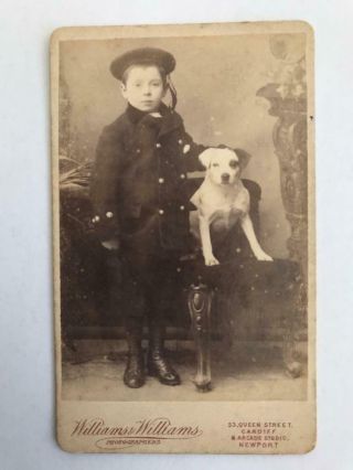 1800s Cdv Photo Boy With His Dog Newport Wales