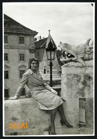 Pretty Girl W Dragon,  Silk Stockings,  Vintage Photograph,  1930 