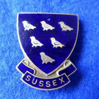 Vintage Girl Guide Sussex County Pin Badge (cc95)