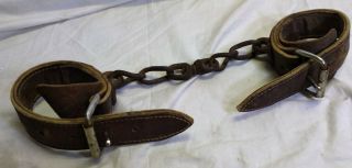 Vintage Leather With Iron Chain Horse Or Mule Hobbles