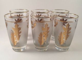 6 Gold Leaf Frosted Glasses Tumblers Highball Vintage Mcm