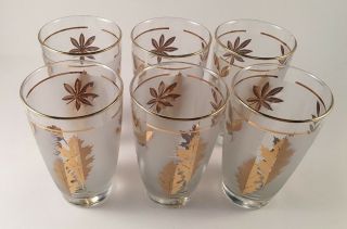 6 Gold Leaf Frosted Glasses Tumblers Highball Vintage MCM 2