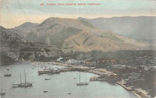 Avalon,  Santa Catalina Island,  Ca Harbor 1910 Rare Hand - Colored Vintage Postcard