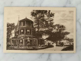 Vintage Postcard Morning Glory And Cottages Wellfleet Ma Massachusetts
