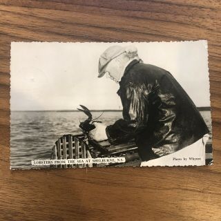 Nova Scotia Shelburne Rppc Vintage Lobster Traps Photo By Whynot Postcard