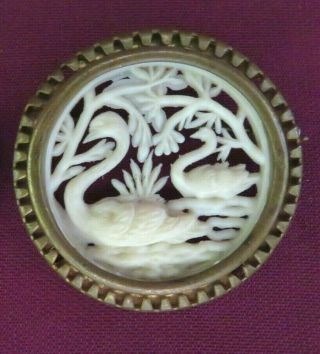 Antique Vintage Round Silhouette Cut Out Celluloid Swans Pin,  Brass Setting