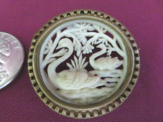 ANTIQUE VINTAGE ROUND SILHOUETTE CUT OUT CELLULOID SWANS PIN,  BRASS SETTING 2