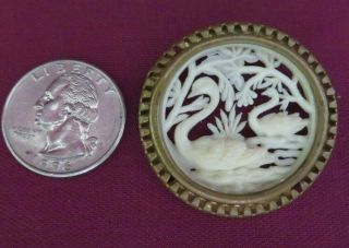 ANTIQUE VINTAGE ROUND SILHOUETTE CUT OUT CELLULOID SWANS PIN,  BRASS SETTING 3