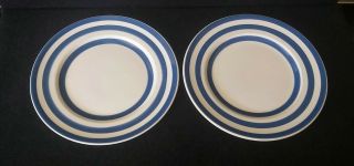 Vintage Swinnertons Ironstone Plates Blue White Stripe Somerset Blue