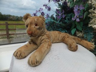 Vintage Antique German Steiff Toy Tiger Mohair Glass Eyes Wood Straw Fill Bear